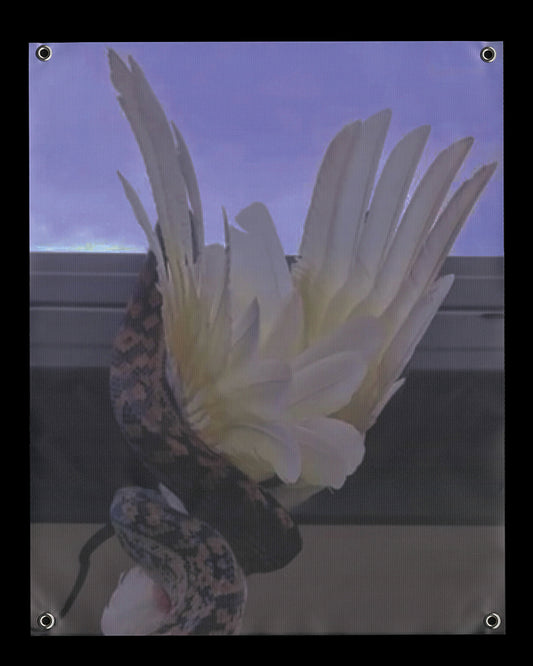 VINYL BANNER [IMAGE 02]